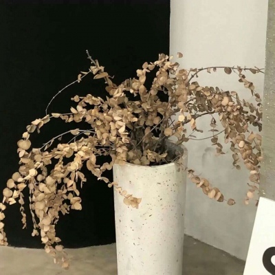 兽设质感表现实用教程福瑞群